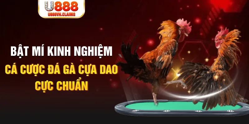 88ok casino hồ tràm có cho người việt vào không