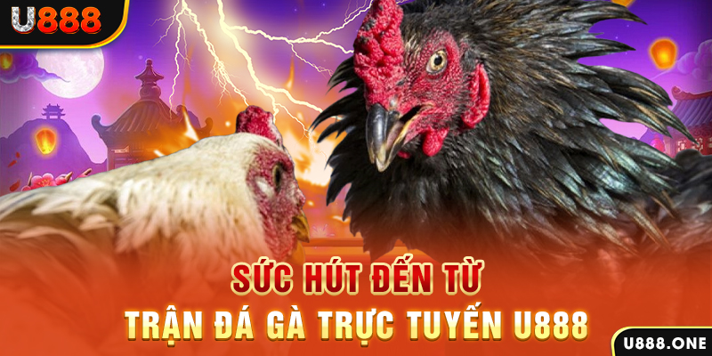 88ok đăng nhập poker 2024