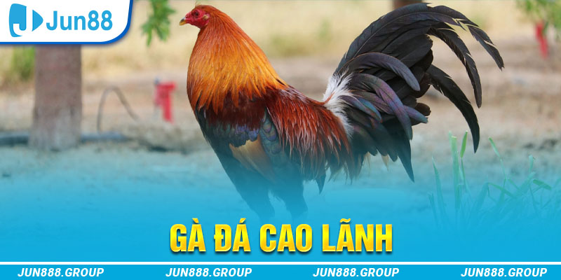 88ok tai game vua bai ve may tinh