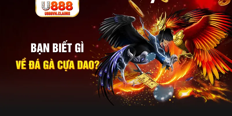 xo so mien bac