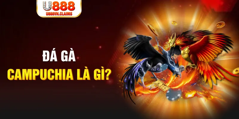 88ok what is the best online casino for real money