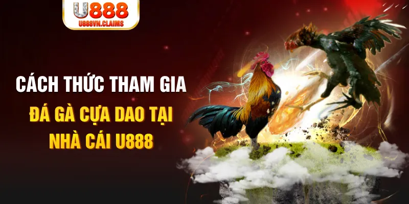 88ok đá gà 88.com
