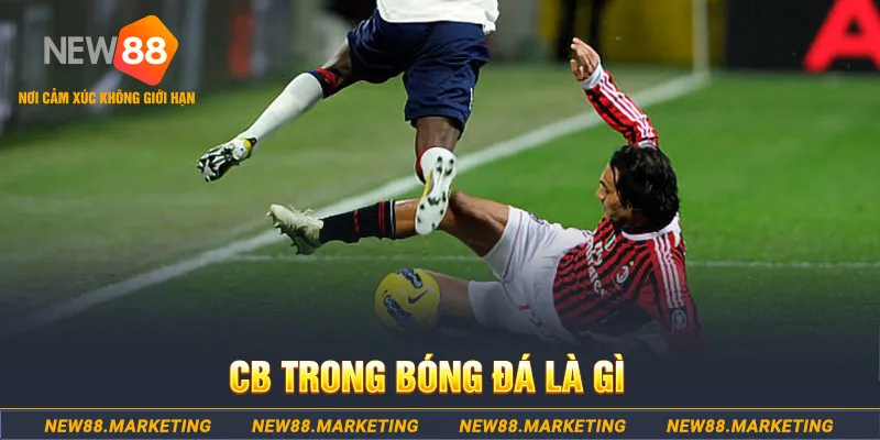 88ok DG Trực Tuyến