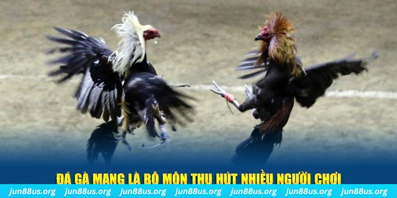 88ok đăng nhập sòng bạc số 1