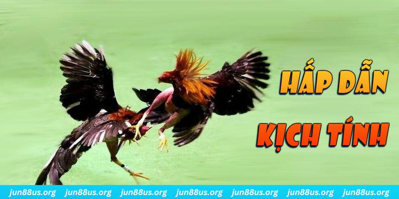 88ok xổ số miền nam thứ sáu