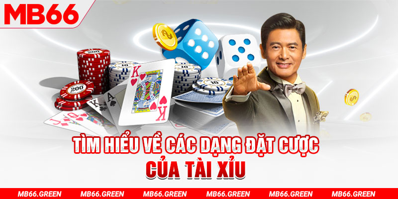 88ok what is a casino loyalty program