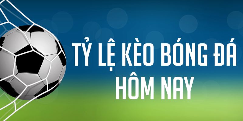 88ok đăng nhập phỏm