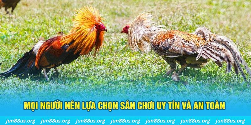 88ok đăng nhập poker 2025