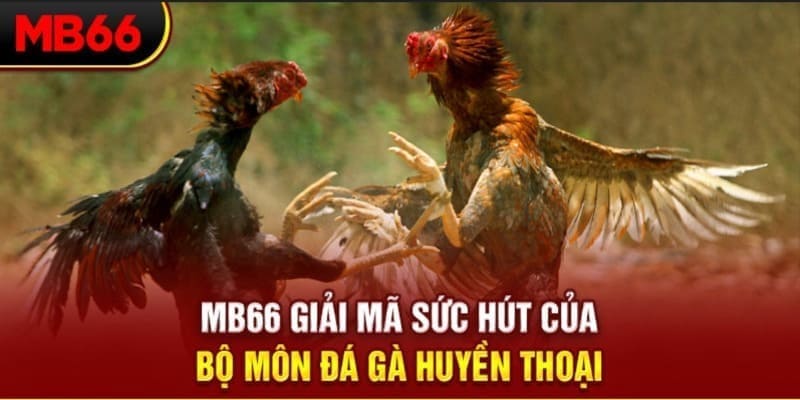 88ok xổ số đài bắc