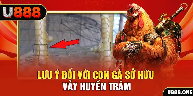 88ok tải game đánh bài tiến lên miền nam về máy tính