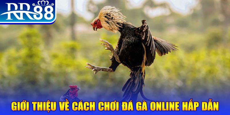 88ok EvoPlay Điện Tử