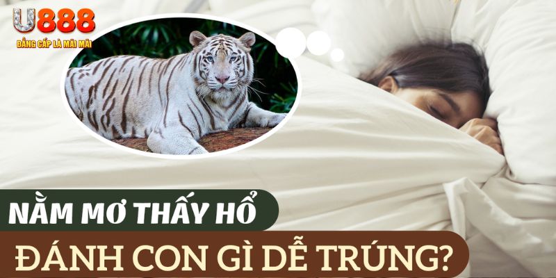 88ok nohu .mx nổ hủ là gì