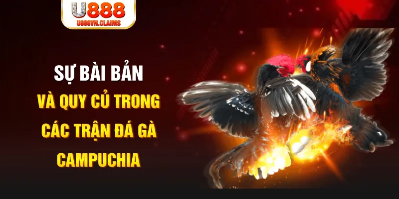 88ok game xếp bài trên máy tính