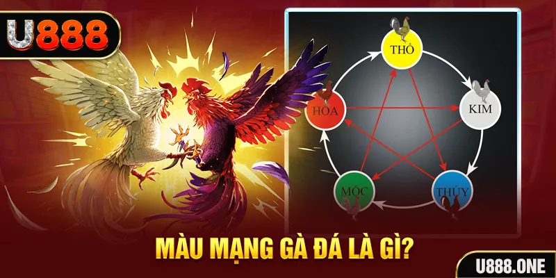 88ok V8 Game Bài 3d
