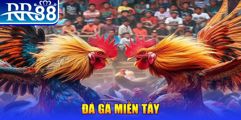 88ok đăng nhập liêng đổi thưởng