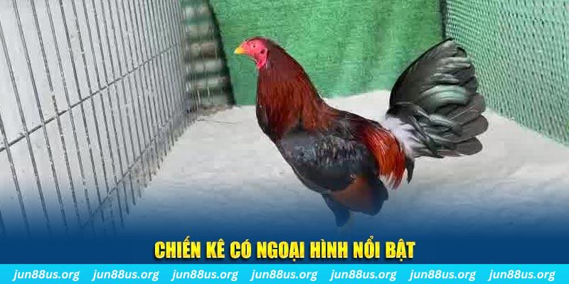 88ok qq88 bắn cá