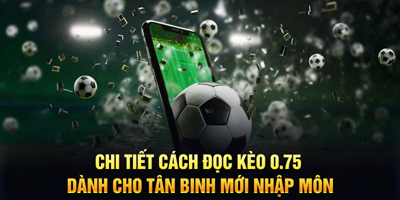 88ok Xì tố