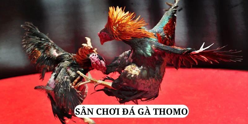 88ok quay nổ hũ là gì