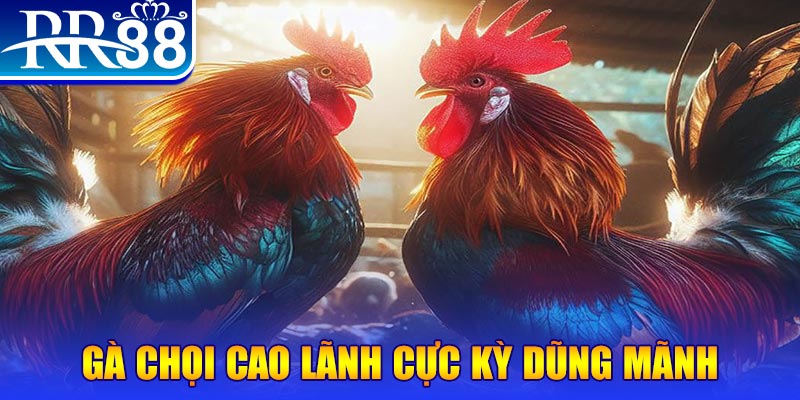 88ok đăng nhập poker live